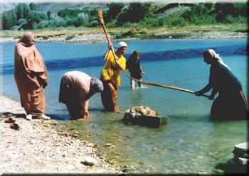 Ad:  resim1.JPG
Gsterim: 935
Boyut:  21.1 KB