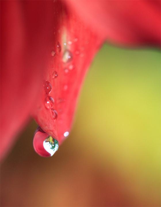 Ad:  drop.jpg
G�sterim: 210
Boyut:  21.1 KB