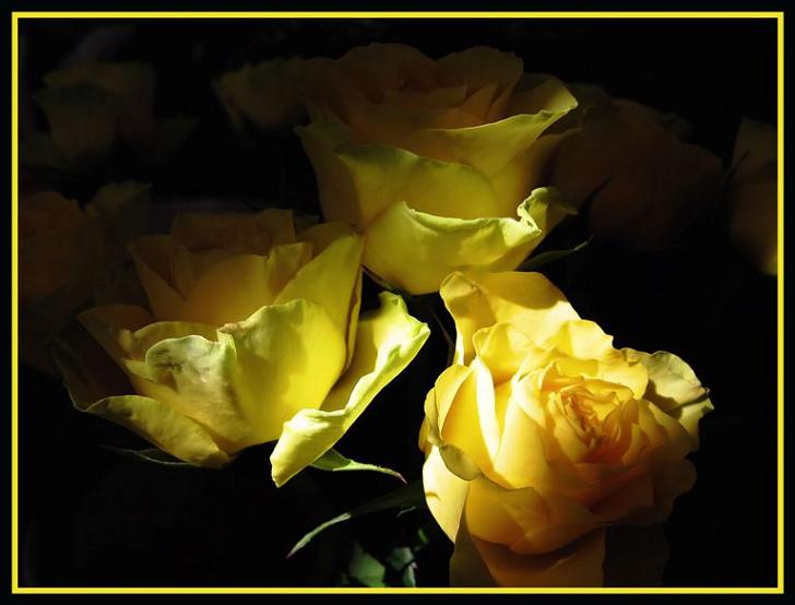 Ad:  picture_0688.jpg
Gsterim: 225
Boyut:  38.9 KB