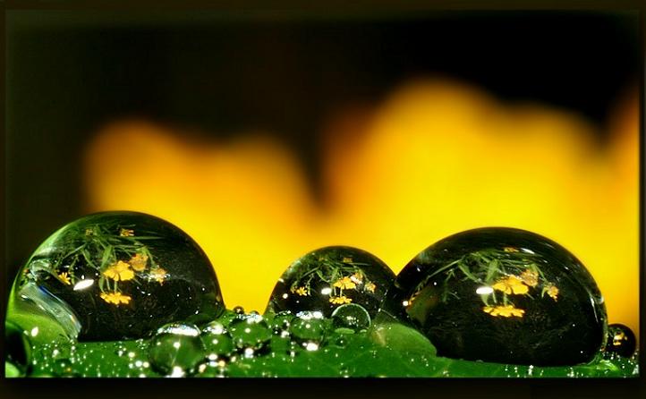 Ad:  burning2.jpg
G�sterim: 213
Boyut:  38.1 KB