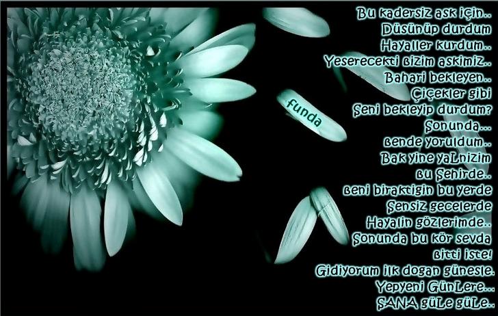 Ad:  45555.jpg
Gsterim: 970
Boyut:  69.3 KB