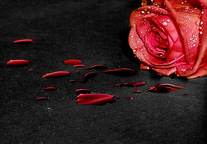 Ad:  Bloody_Rose_by__bot_.jpg
Gsterim: 504
Boyut:  125.3 KB