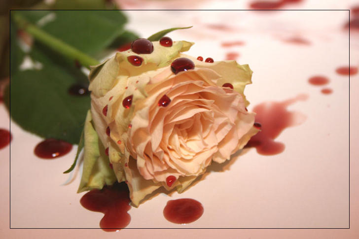 Ad:  The_Blood_Rose_by_Jeve.jpg
Gsterim: 470
Boyut:  43.9 KB