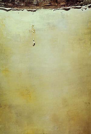 Ad: oran_300.jpg
Gösterim: 611
Boyut: 19.1 KB