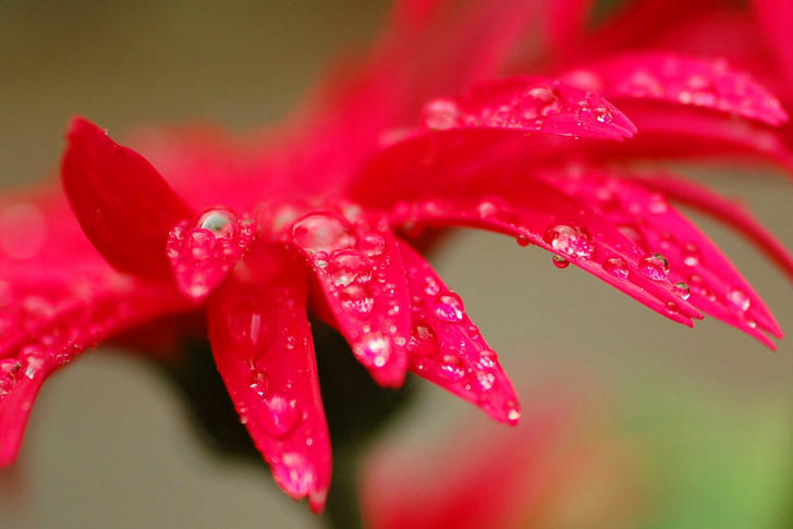 Ad:  6525161.jpg
Gsterim: 254
Boyut:  42.9 KB