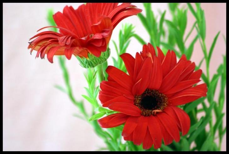 Ad:  4691306.jpg
Gsterim: 238
Boyut:  41.5 KB