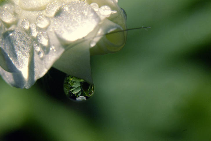 Ad:  _rmr6461.jpg
Gsterim: 213
Boyut:  31.4 KB