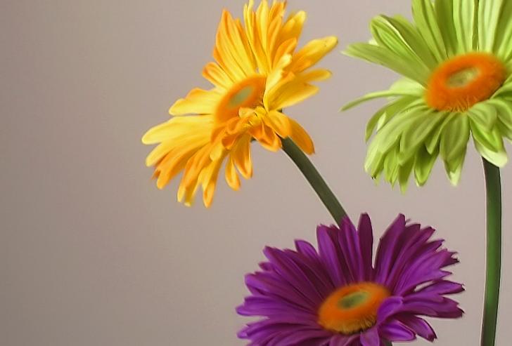 Ad:  img_1246.jpg
Gsterim: 238
Boyut:  30.5 KB