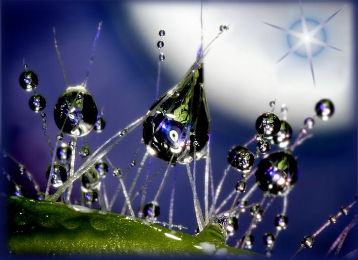 Ad:  20060806_9999_90kl.jpg
Gsterim: 248
Boyut:  49.2 KB