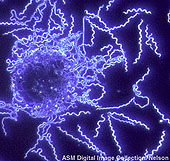 Ad:  028.jpg
Gsterim: 656
Boyut:  30.3 KB