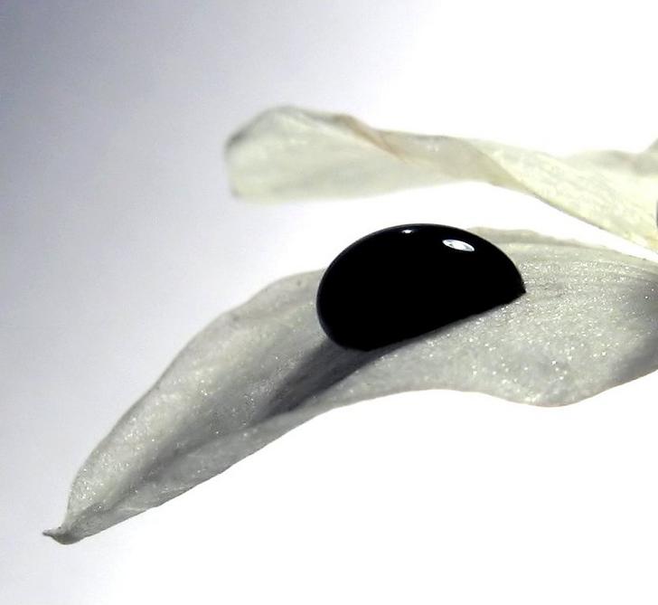 Ad:  black_and_white_by_WiciaQ.jpg
Gsterim: 482
Boyut:  25.5 KB