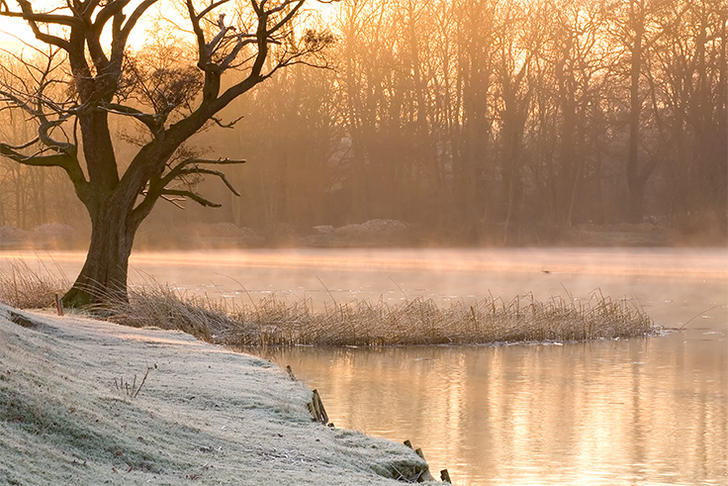 Ad:  3894365.jpg
Gsterim: 233
Boyut:  88.8 KB