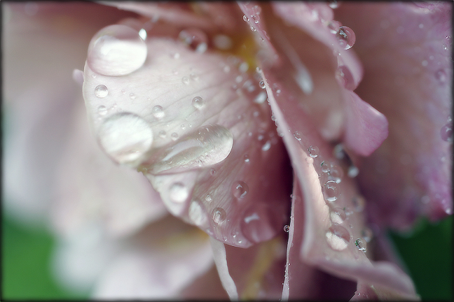 Ad:  60973352.jpg
G�sterim: 249
Boyut:  237.9 KB