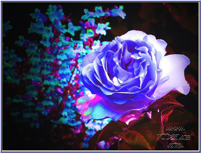 Ad:  30243601.jpg
Gsterim: 323
Boyut:  92.9 KB