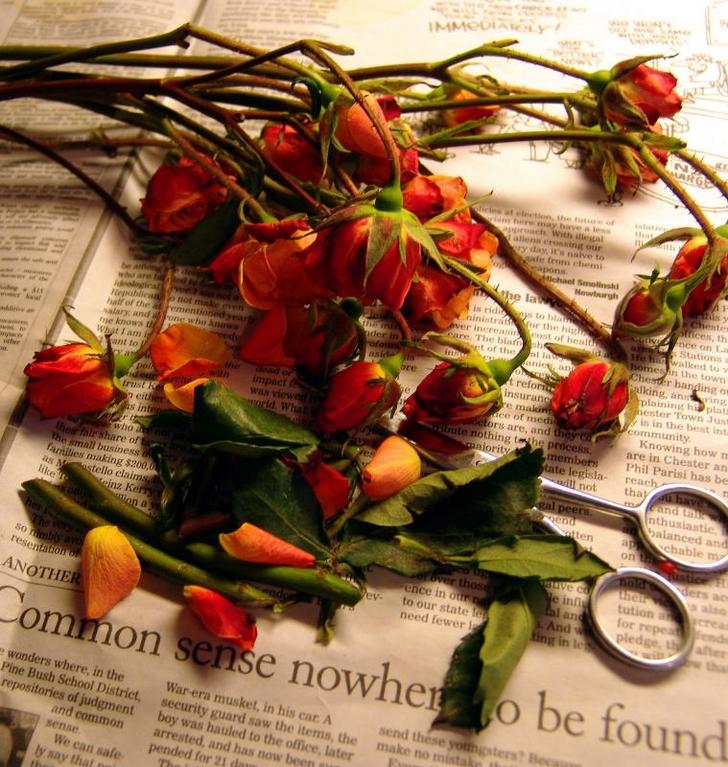 Ad:  6851521.jpg
Gsterim: 332
Boyut:  106.7 KB