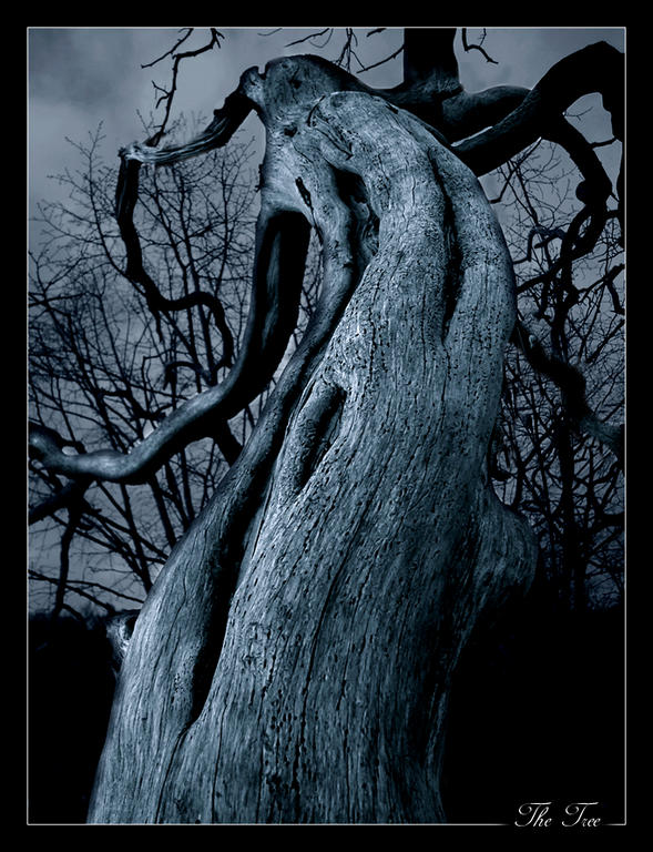 Ad:  The_Dark_Tree_by_x_horizon.jpg
Gsterim: 748
Boyut:  105.3 KB