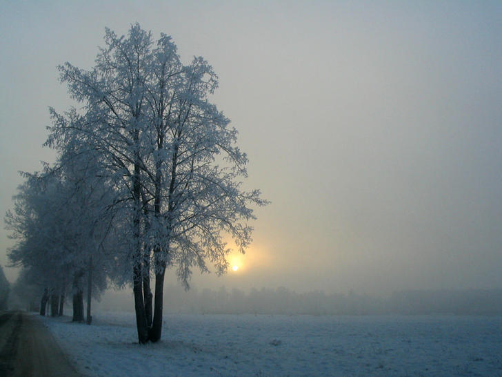 Ad:  img_5387.jpg
Gsterim: 280
Boyut:  47.5 KB