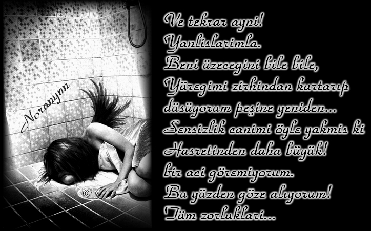 Al�nt�daki Ek 9776
