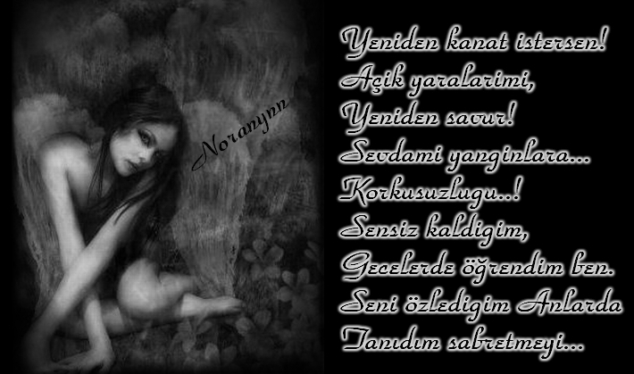 Al�nt�daki Ek 9778