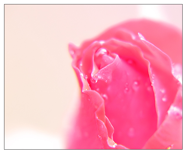 Ad:  In_the_Pink_by_velvetnegative.jpg
Gsterim: 219
Boyut:  146.2 KB