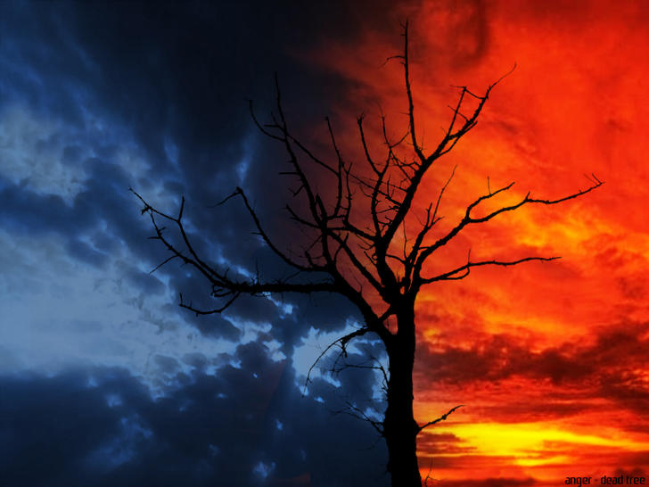 Ad:  Dead_Tree_by_aNgr.jpg
Gsterim: 272
Boyut:  53.5 KB