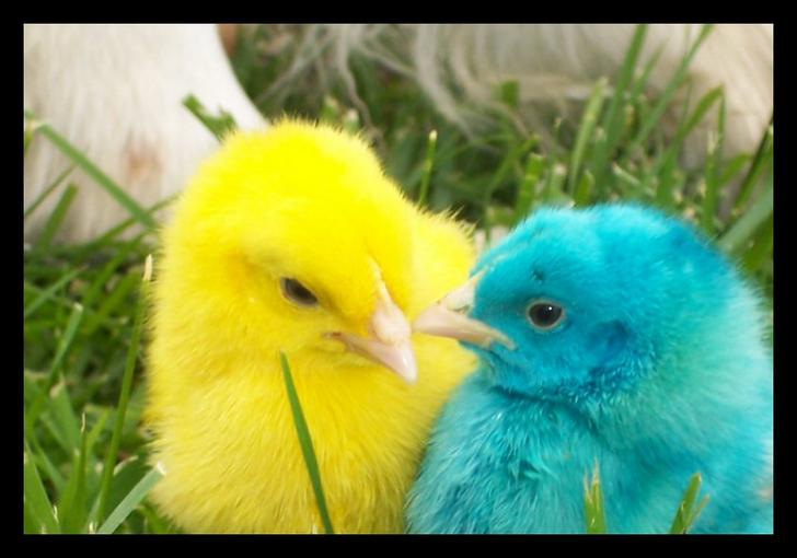 Ad:  Young_Love_by_GirlOnPaintHorse.jpg
Gsterim: 1265
Boyut:  40.7 KB