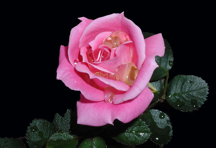 Ad:  rosazul.jpg
Gsterim: 215
Boyut:  44.8 KB