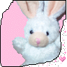 Al�nt�daki Ek 9893