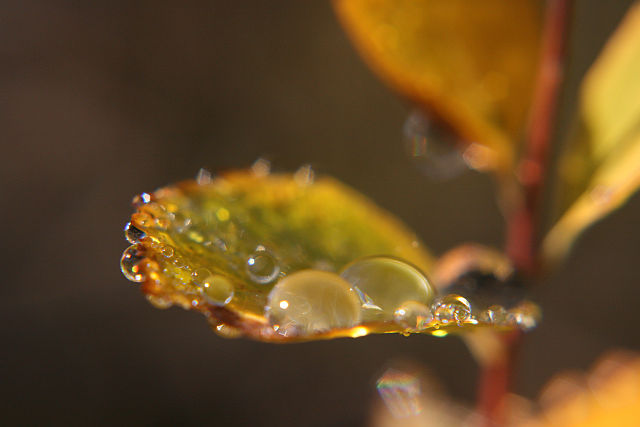 Ad:  693913312.jpg
Gsterim: 174
Boyut:  41.7 KB