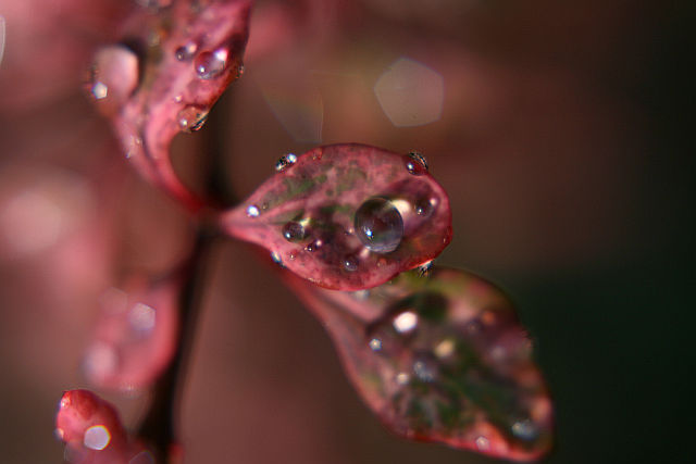 Ad:  6939682811.jpg
Gsterim: 195
Boyut:  41.5 KB