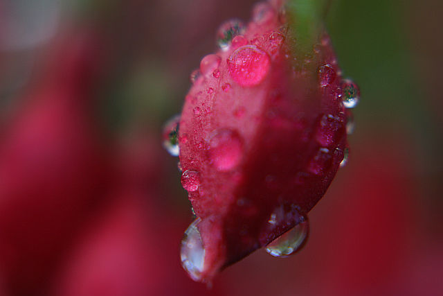 Ad:  693969101.jpg
Gsterim: 122
Boyut:  39.3 KB