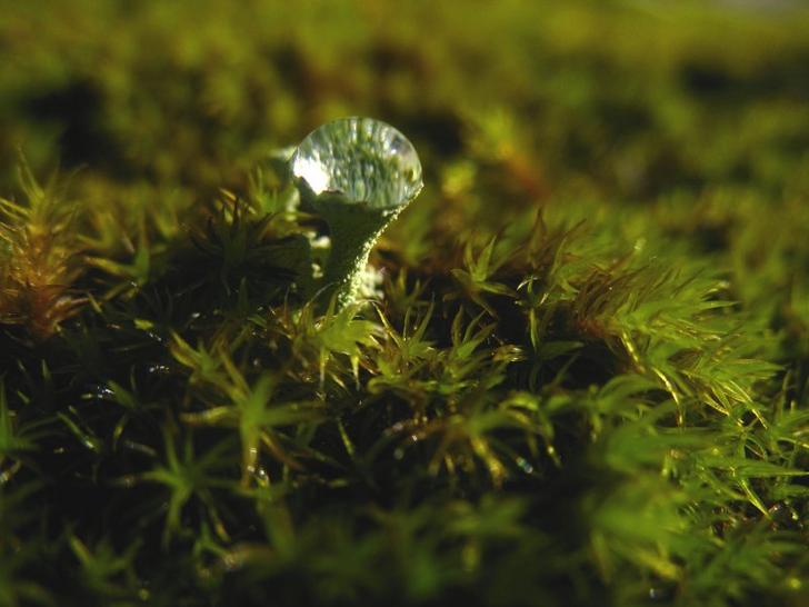 Ad:  69388501.jpg
Gsterim: 395
Boyut:  42.7 KB