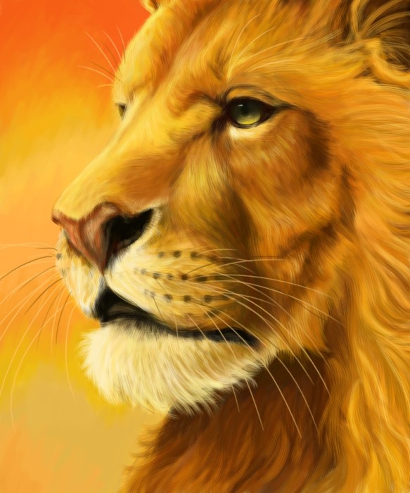 aslan1