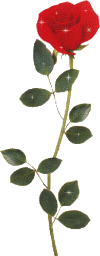 hareketli cicek resimleri 1