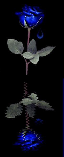 49433c3d6e8dc120c55c895c37e59f39 1265142894[1]