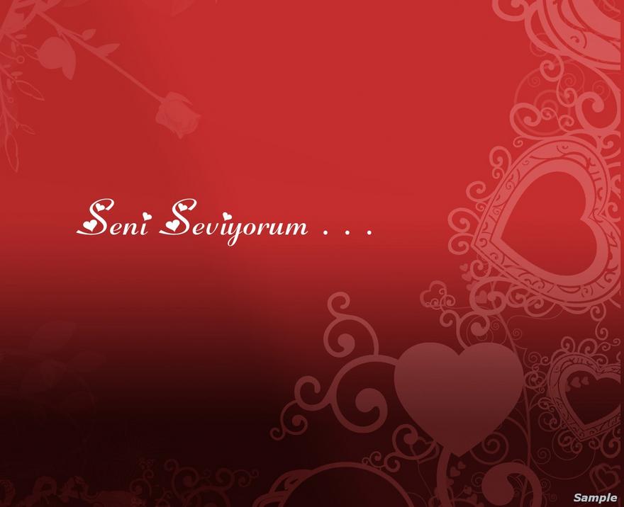 Seni Seviyorum