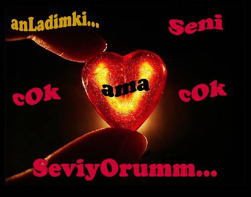 �zledimki..