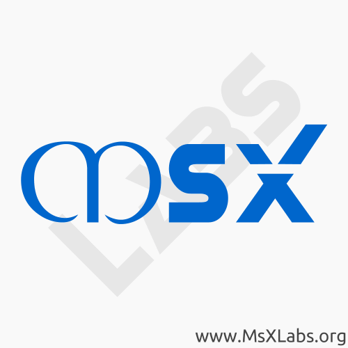 MsXLabs 2015