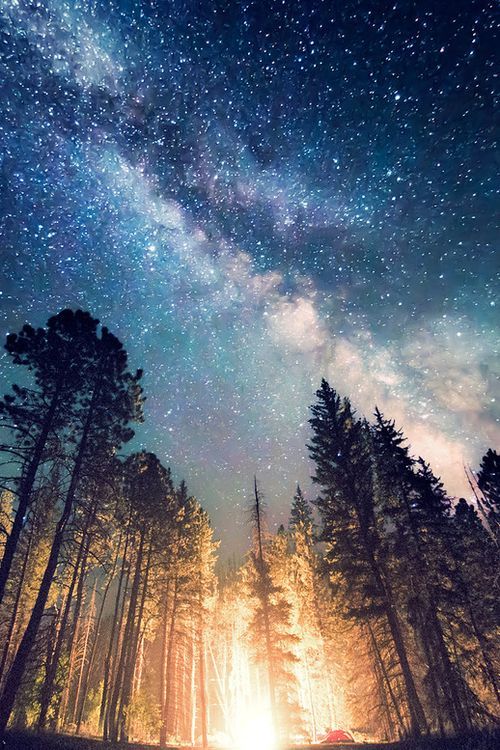 3e43cc1aca188d431858f92623107c71