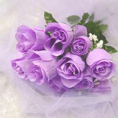 17796590 1179702858807326 3879746983903657381 n