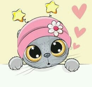 IMG 20190221 141206 293