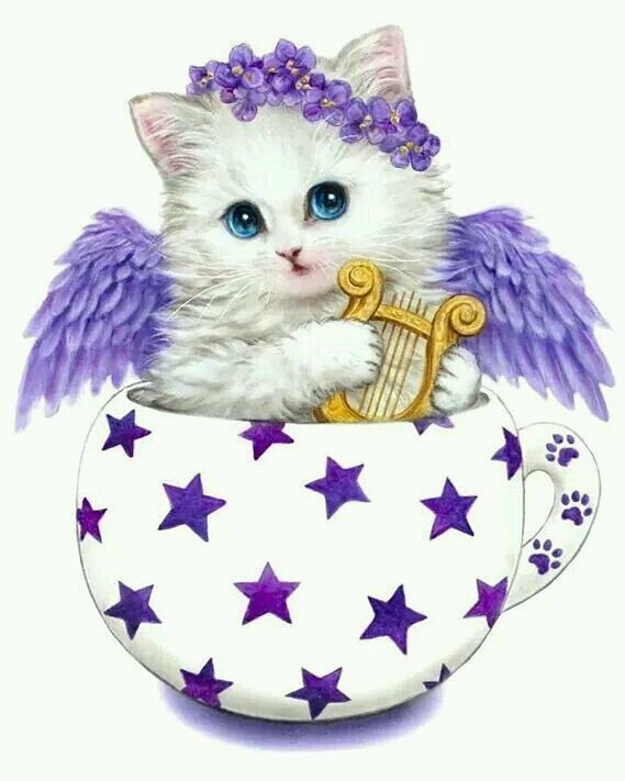 IMG 20190221 135623 292