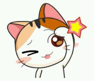 IMG 20190221 135449 539