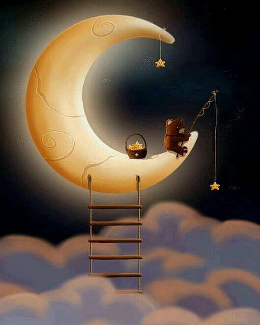 IMG 20190221 134932 966