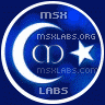 msx labs logo
