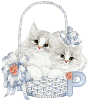 KKS Angel Kittens P